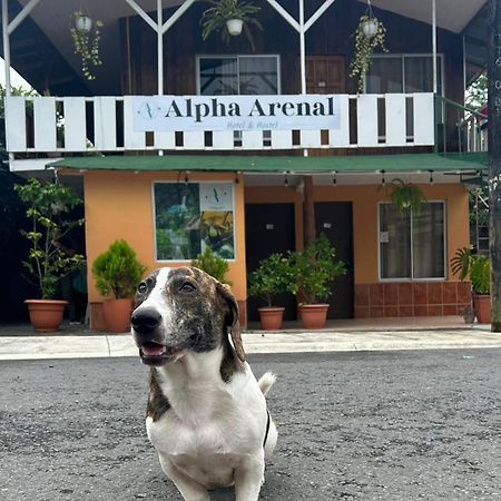 Хостел Alpha Arenal Ла Фортуна Экстерьер фото